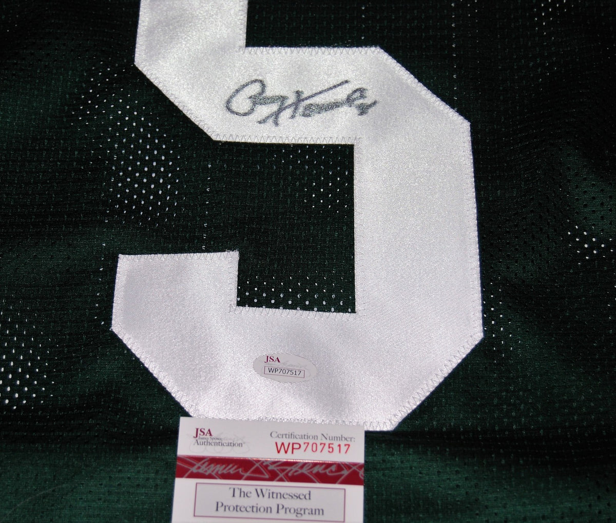 PAUL HORNUNG signed (GREEN BAY PACKERS Stiched football jersey JSA WITNESSED