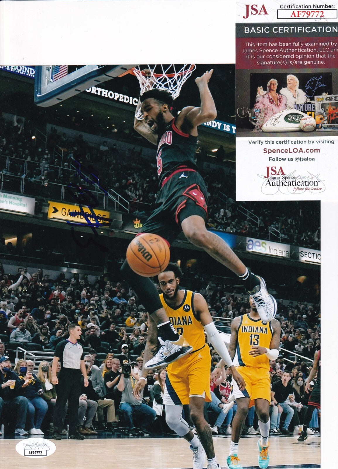 DERRICK JONES JR signed (CHICAGO BULLS) basketball 8X10 photo JSA COA AF79772