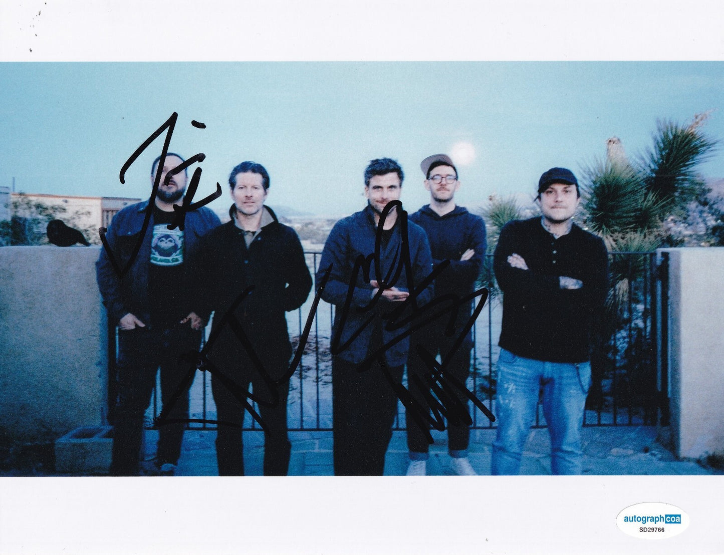L.S. DUNES group signed 8x10 by 4 ANTHONY GREEN Paper Tigers photo ACOA SD29766