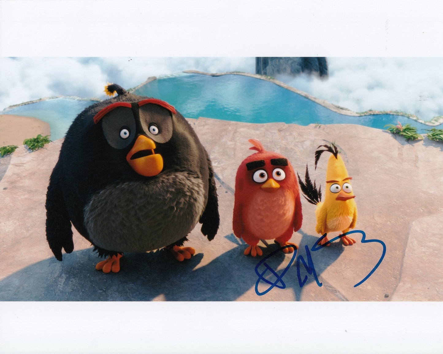 DANNY MCBRIDE signed (ANGRY BIRDS) MOVIE 8X10 photo *BOMB* autographed W/COA #1