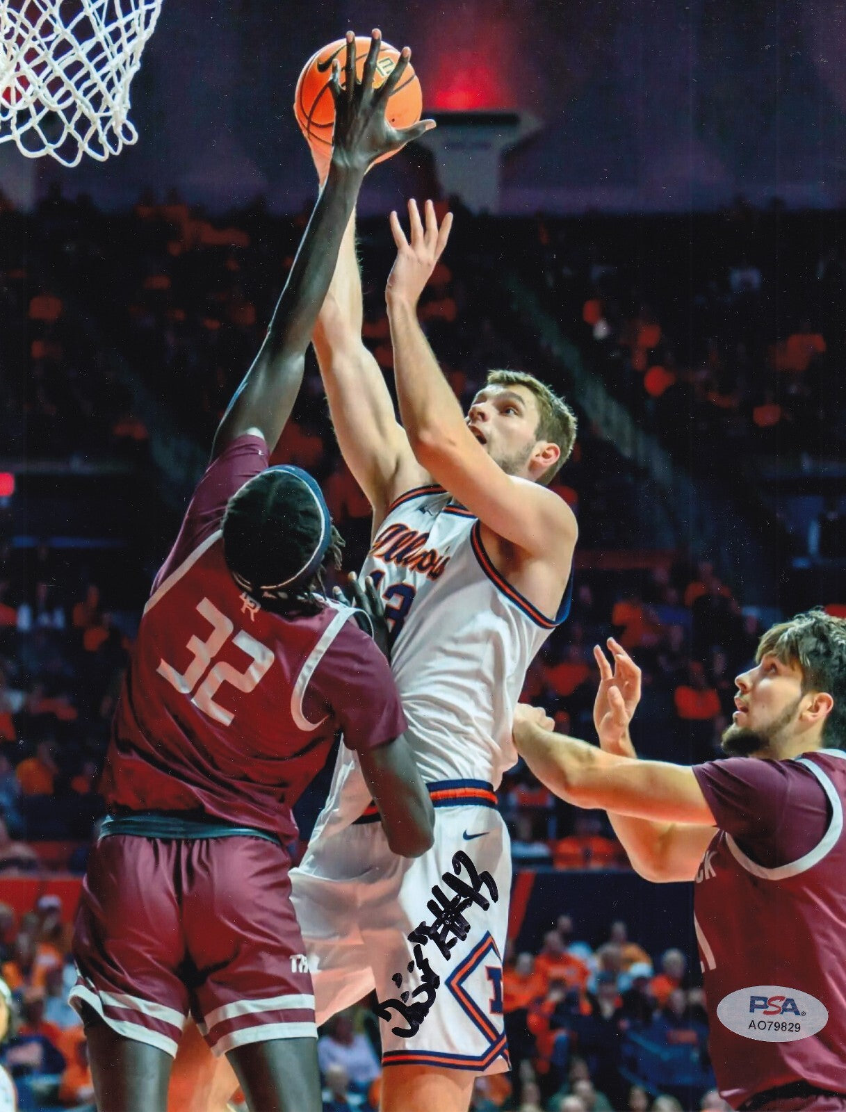 TOMISLAV IVISIC signed (ILLINOIS FIGHTING ILLINI basketball 8X10 PSA/DNA AO79829