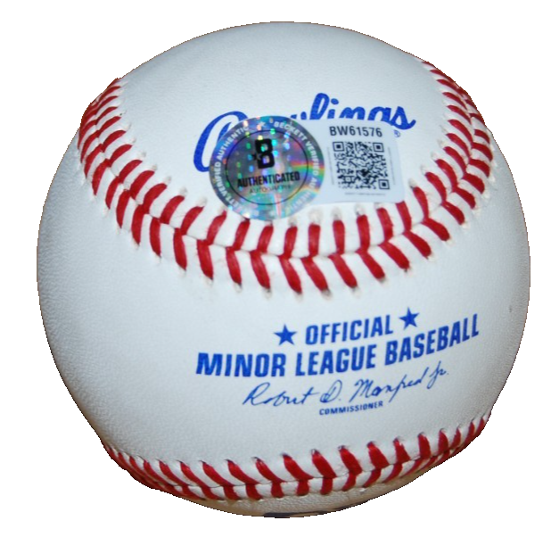 JOE MADDON signed (CHICAGO CUBS) OML Minor League baseball BECKETT BW61576