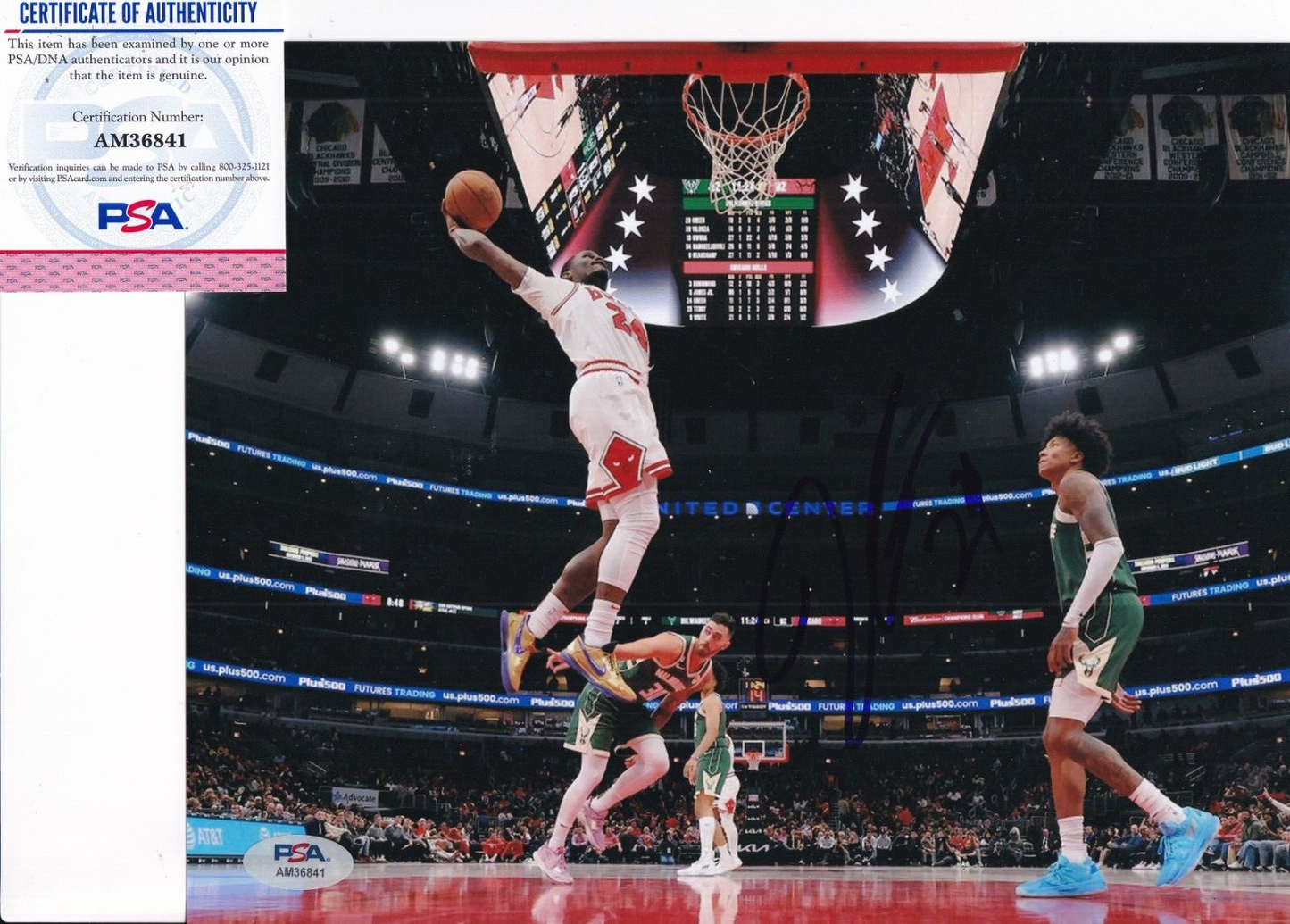 JAVONTE GREEN signed (CHICAGO BULLS) Basketball 8X10 PSA/DNA COA AM36841
