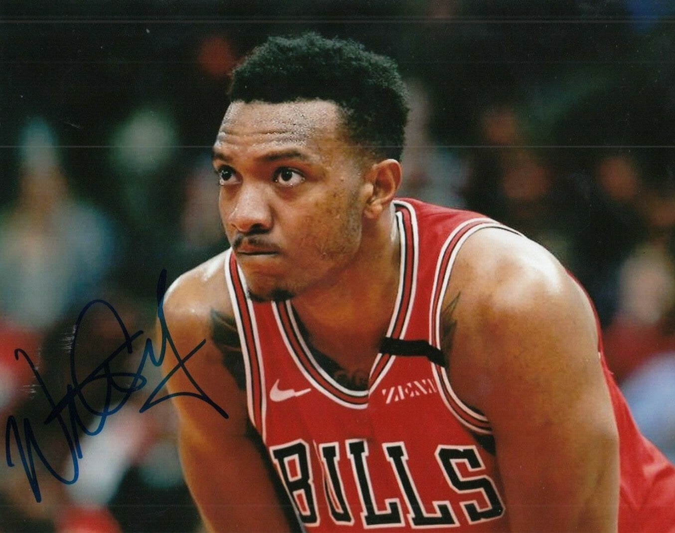 WENDELL CARTER JR signed (CHICAGO BULLS) autograph BASKETBALL 8X10 photo W/COA