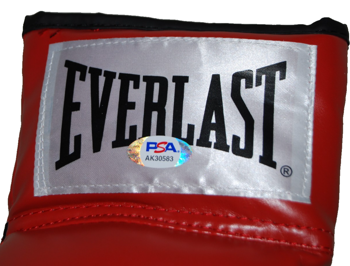 JAMEL HERRING signed (WBO LIGHTWEIGHT) Olympics Boxing glove PSA/DNA AK30583