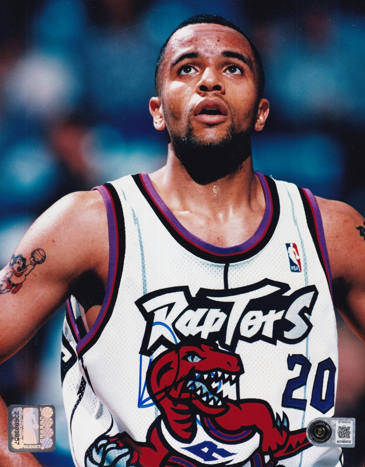 DAMON STOUDAMIRE signed (TORONTO RAPTORS) basketball 8x10 PHOTO BECKETT BY085819