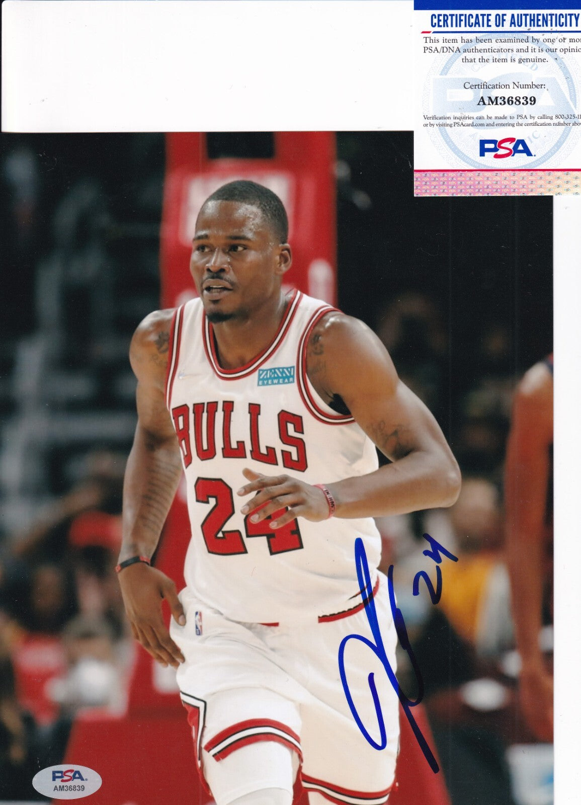 JAVONTE GREEN signed (CHICAGO BULLS) Basketball 8X10 PSA/DNA COA AM36839