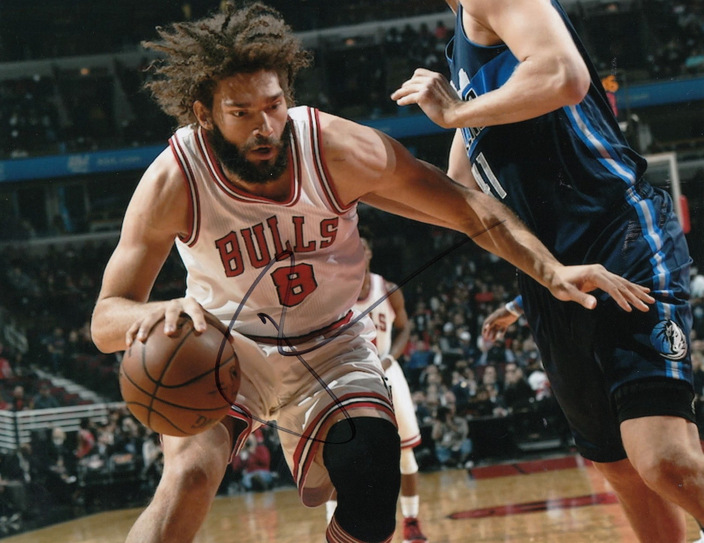 ROBIN LOPEZ signed (CHICAGO BULLS) autographed BASKETBALL 8X10 photo W/COA