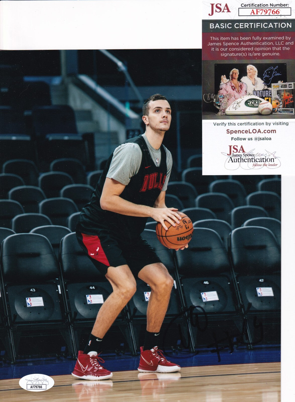 MARCO SIMONOVIC signed (CHICAGO BULLS) basketball 8X10 photo JSA COA AF79766