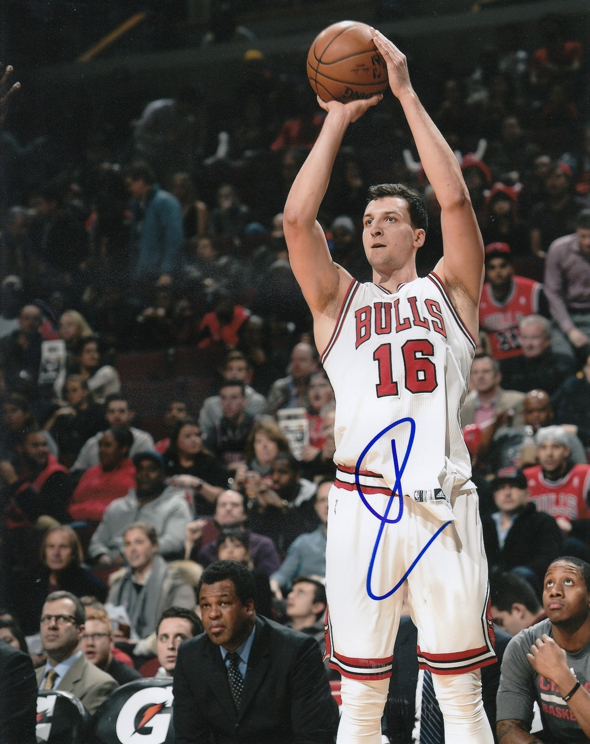 PAUL ZIPSER signed (CHICAGO BULLS) autographed BASKETBALL 8X10 photo W/COA #4