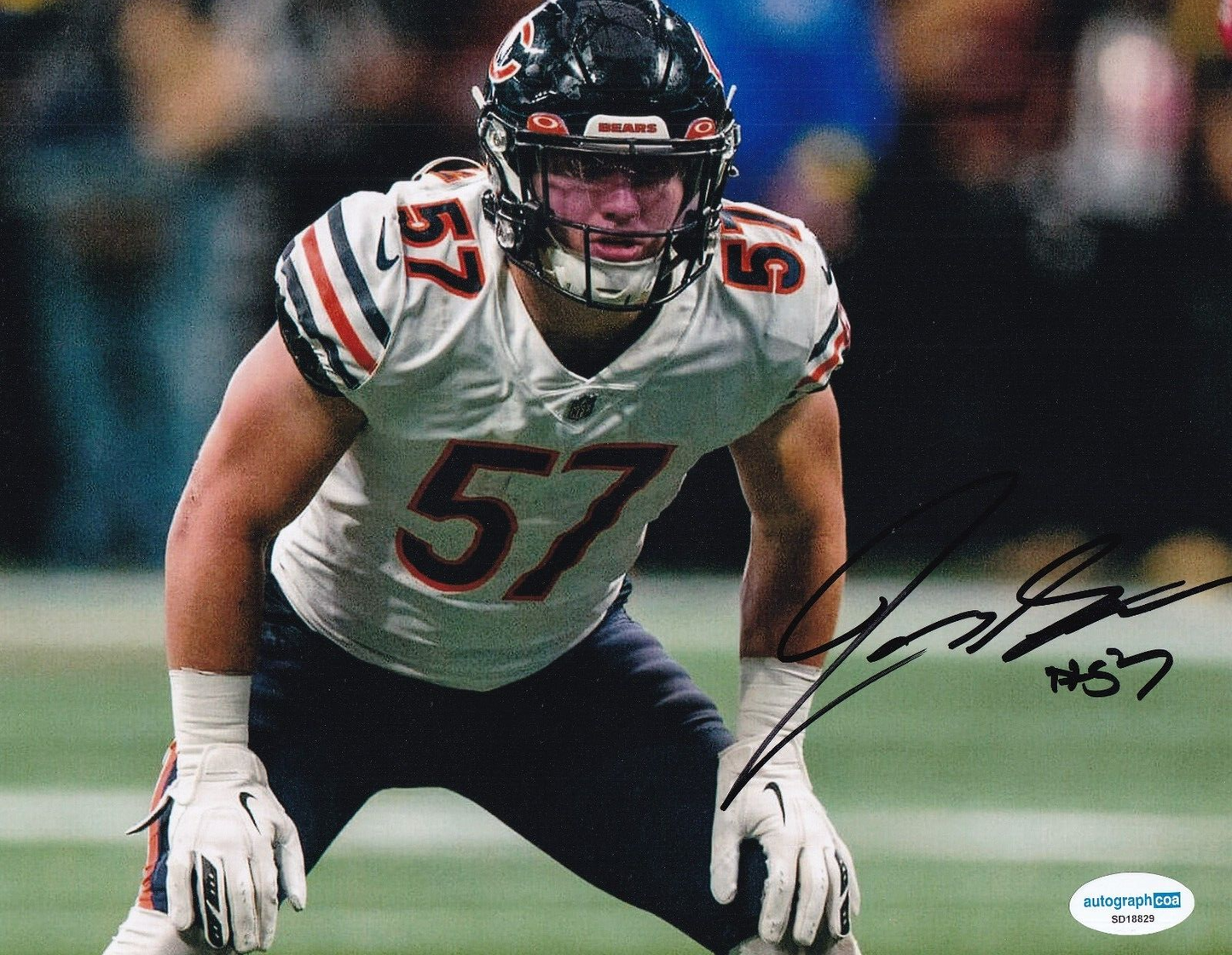 JACK SANBORN signed (CHICAGO BEARS) Football 8X10 photo ACOA Authentic SD18829
