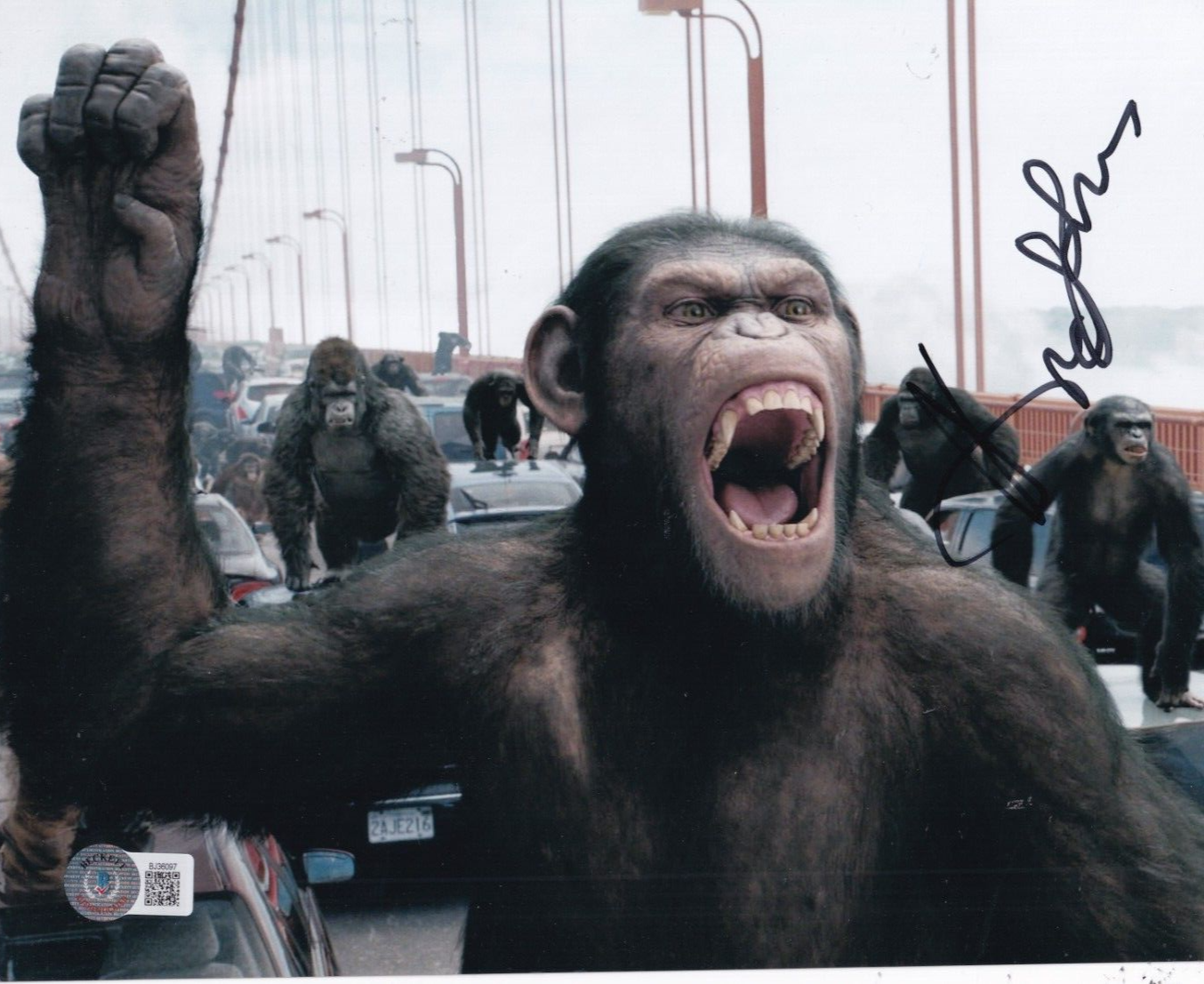 ANDY SERKIS signed (PLANET OF THE APES) Movie 8X10 photo BECKETT BAS BJ36097