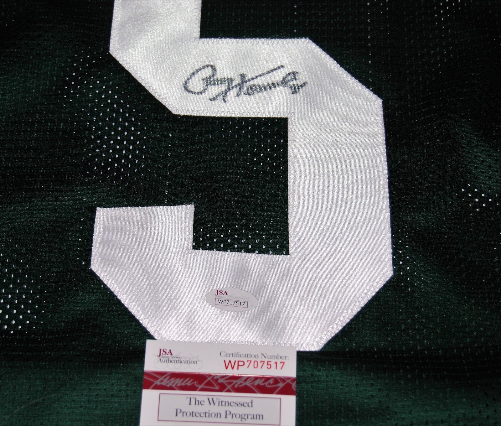 PAUL HORNUNG signed (GREEN BAY PACKERS Stiched football jersey JSA WITNESSED