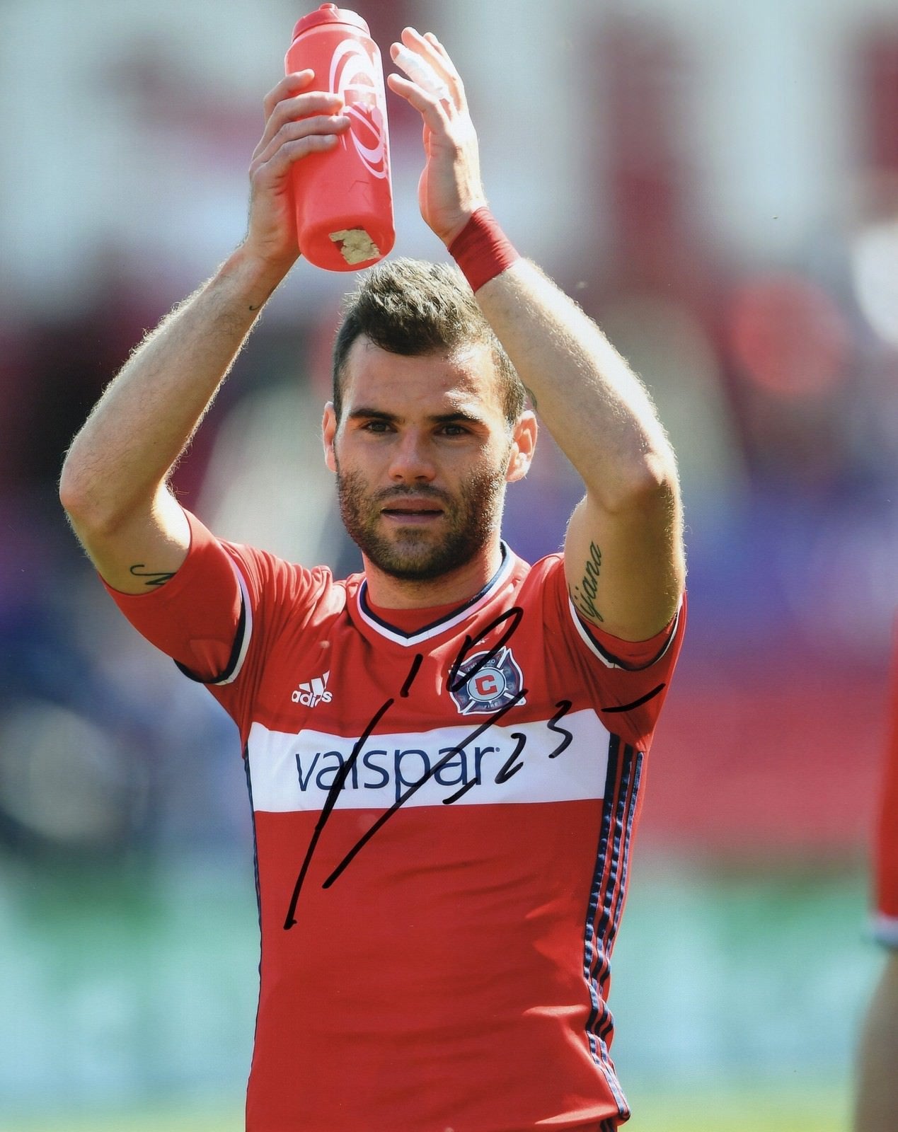 Nemanja Nikolic signed 8x10 Photo w/COA Chicago Fire MLS Soccer #1