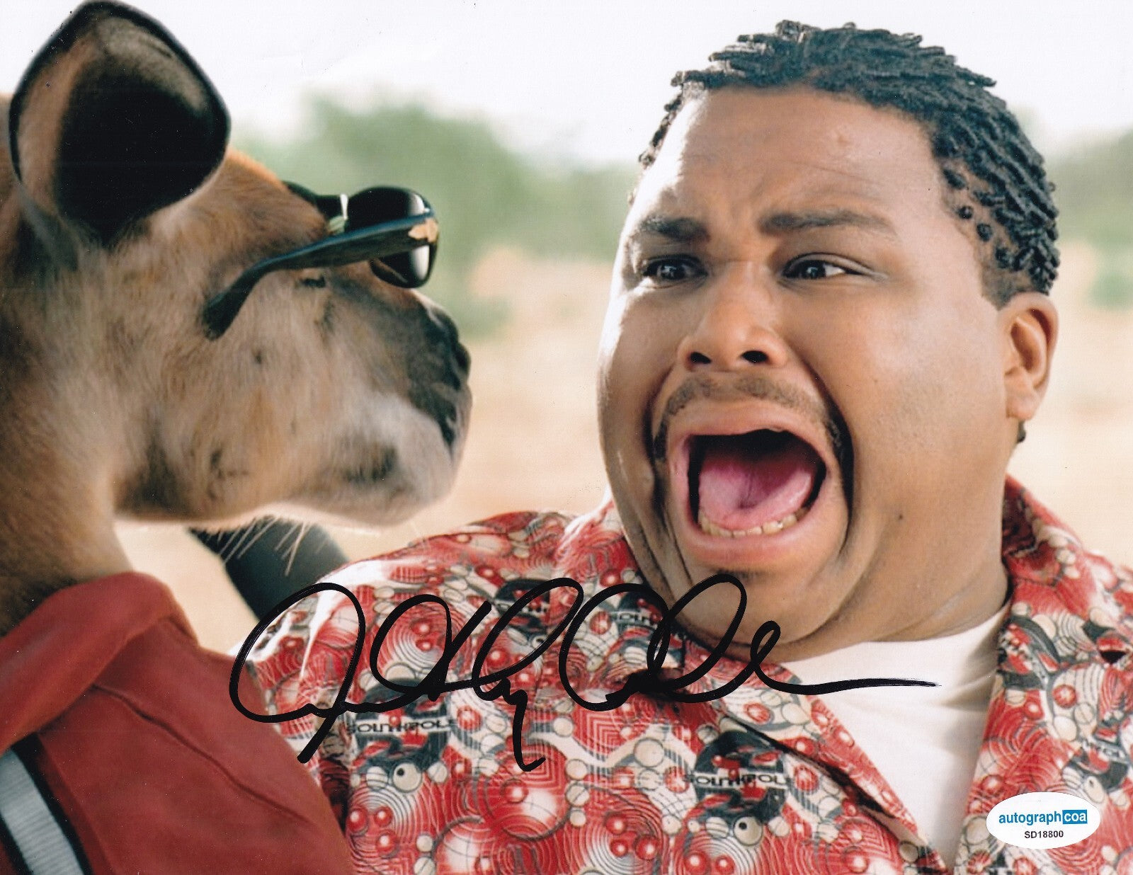 ANTHONY ANDERSON signed (KANGAROO JACK) movie 8x10 photo ACOA SD18800