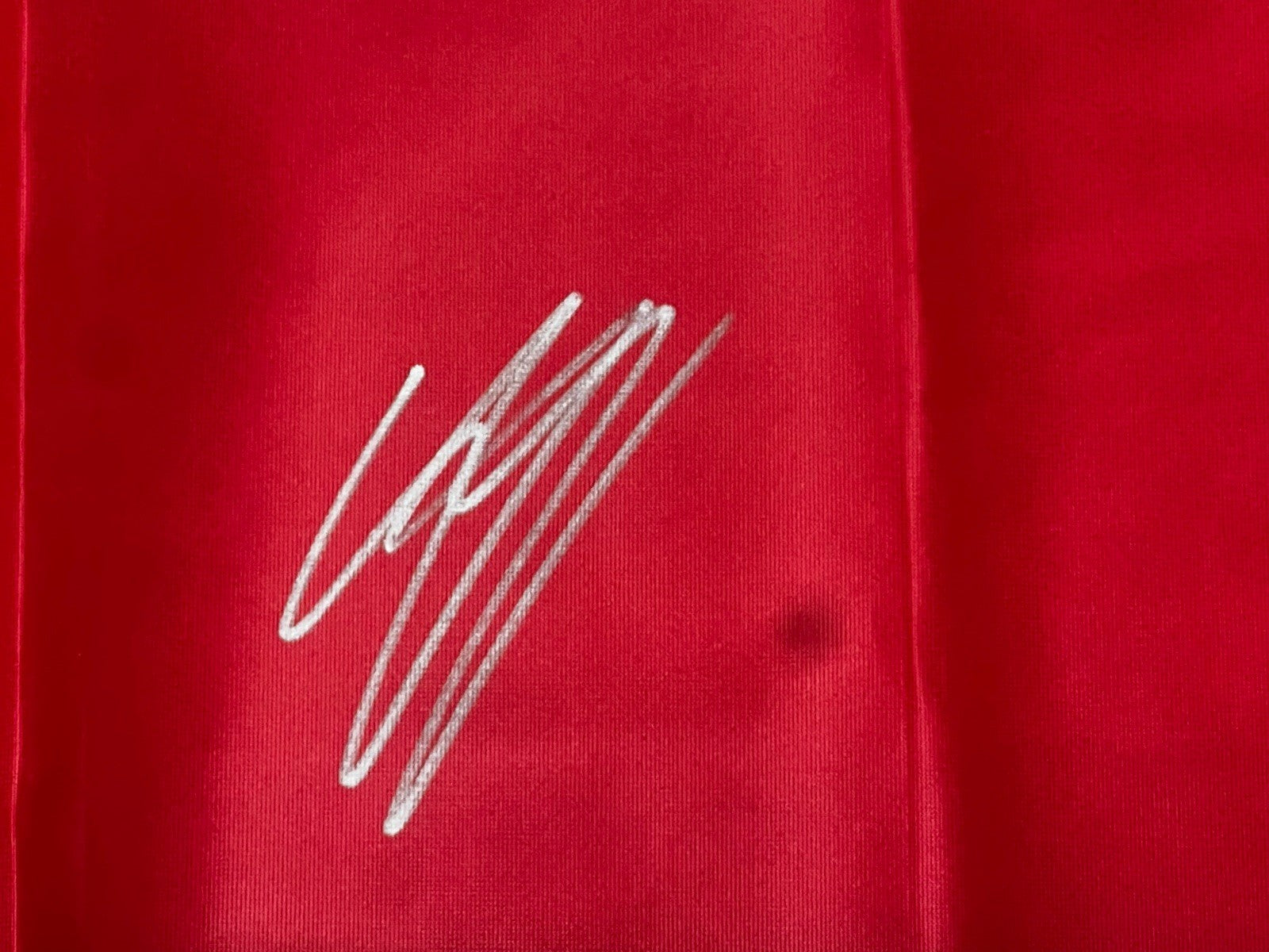 CONNOR BEDARD signed (Chicago Blackhawks) hockey Banner 3x5 Flag PSA/DNA AP22747
