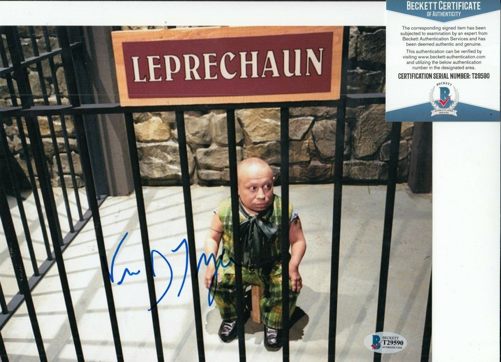 VERN TROYER signed (AUSTIN POWERS) Movie *Mini Me* 8X10 photo BECKETT T29590