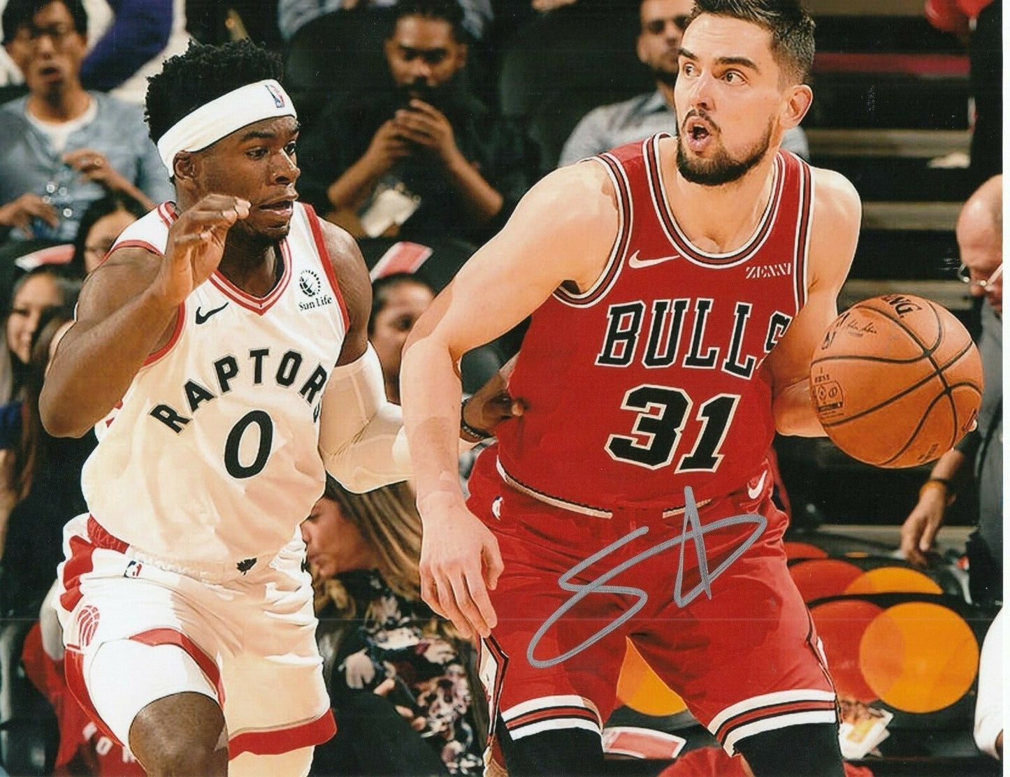 TOMAS SATORANSKY signed (CHICAGO BULLS) auto BASKETBALL 8X10 photo W/COA #2
