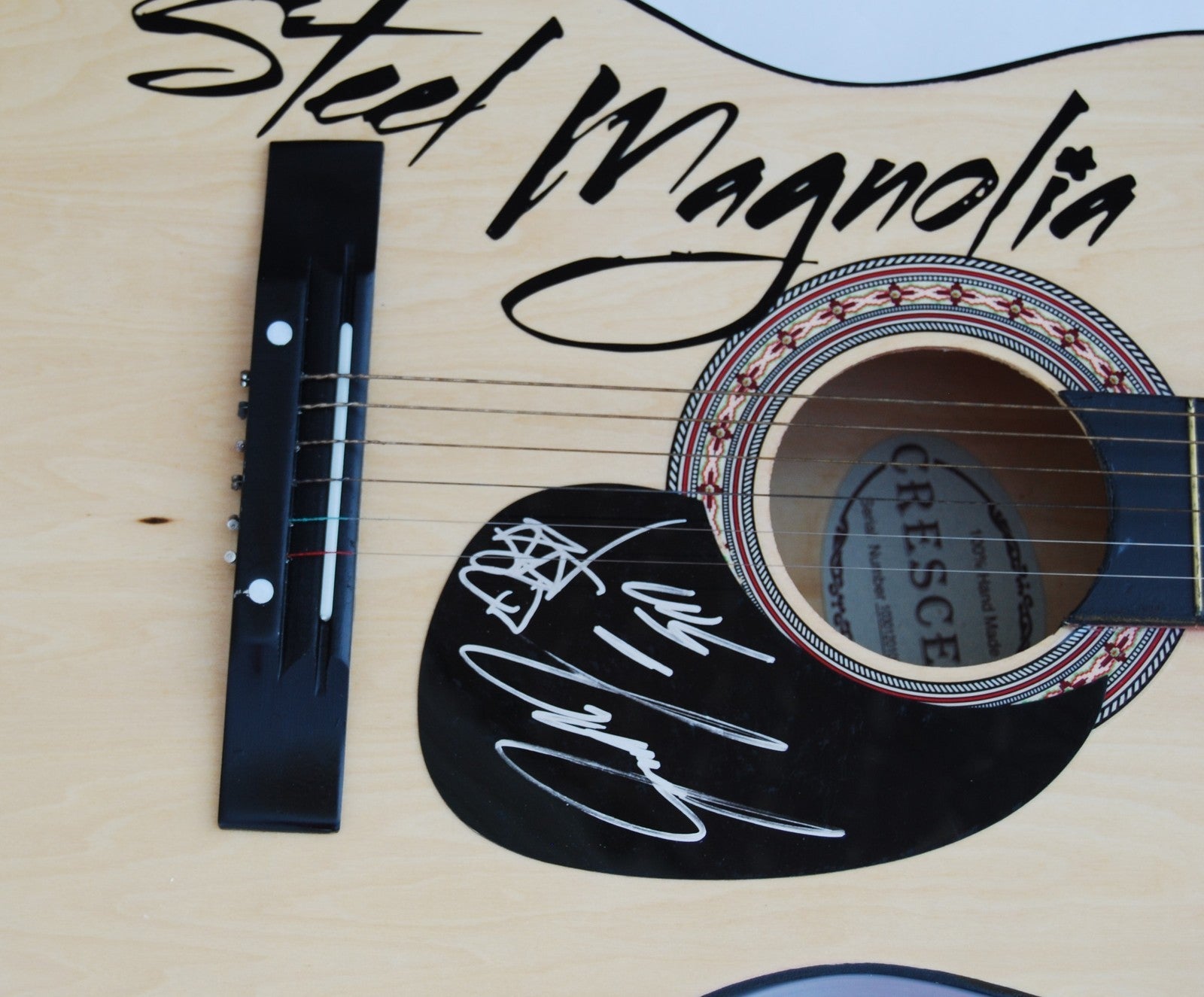 STEEL MAGNOLIA signed (COUNTRY SUPERSTAR) Acoustic guitar W/COA *BULLETPROOF*