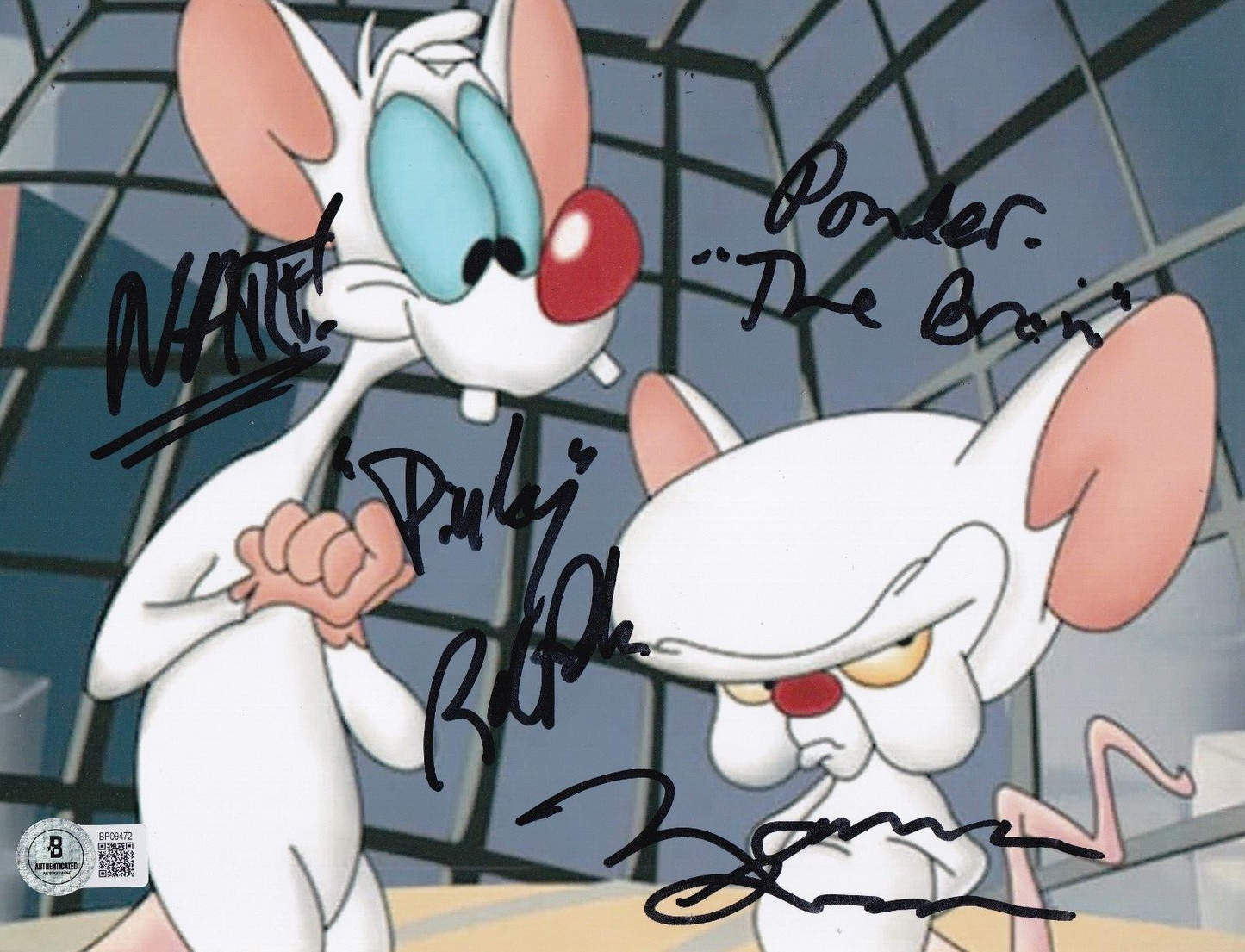 ROB PAULSEN & MAURICE LAMARCHE signed (PINKY AND THE BRAIN) 8X10 BECKETT BP09472