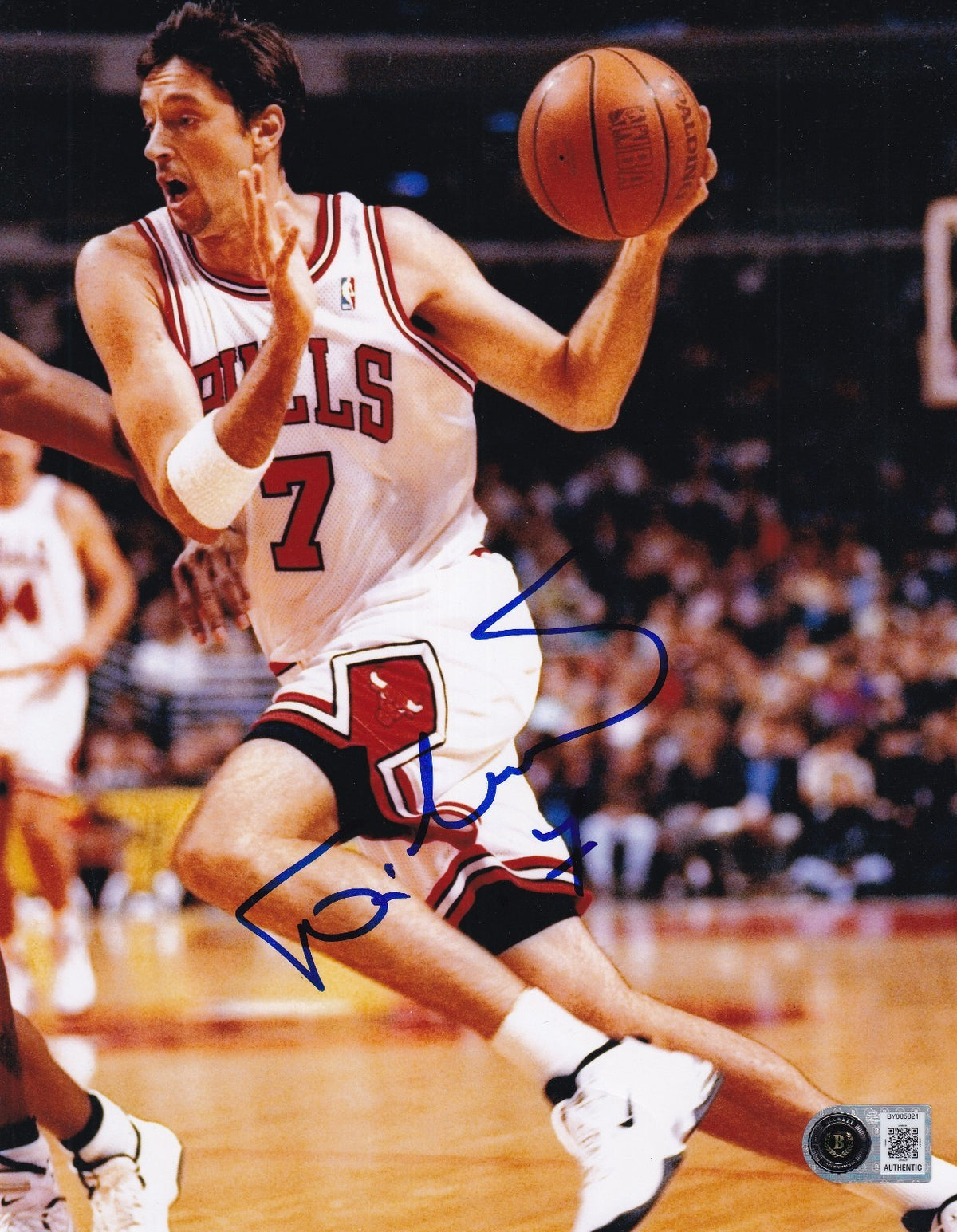TONI KUKOC signed (CHICAGO BULLS) basketball 8x10 PHOTO BECKETT BAS BY085821