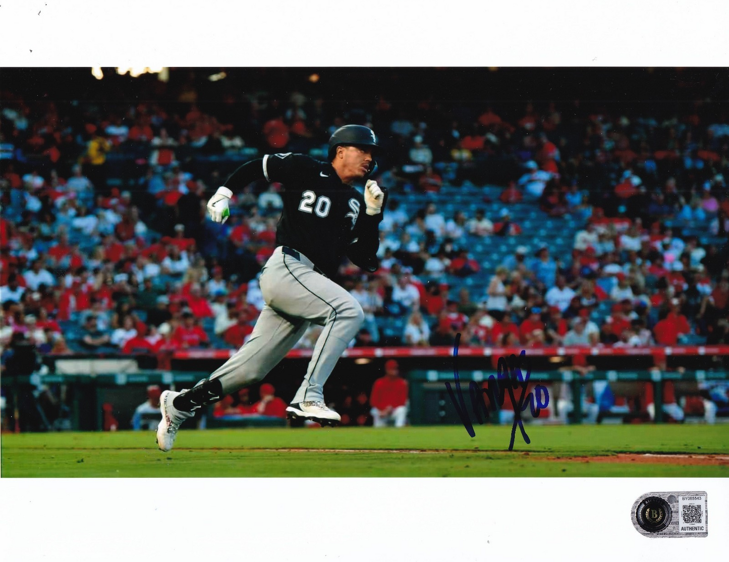 MIGUEL VARGAS signed (CHICAGO WHITE SOX) baseball 8X10 photo BECKETT BY085543