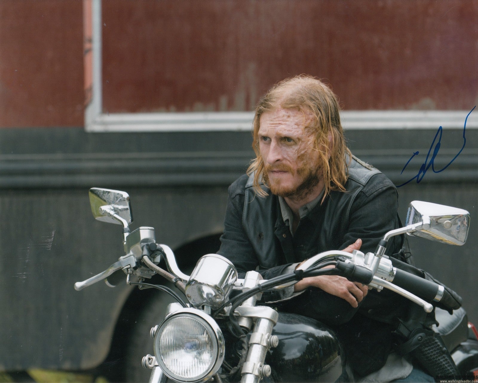 AUSTIN AMELIO signed (THE WALKING DEAD) TWD 8X10 photo *DWIGHT* W/COA #5