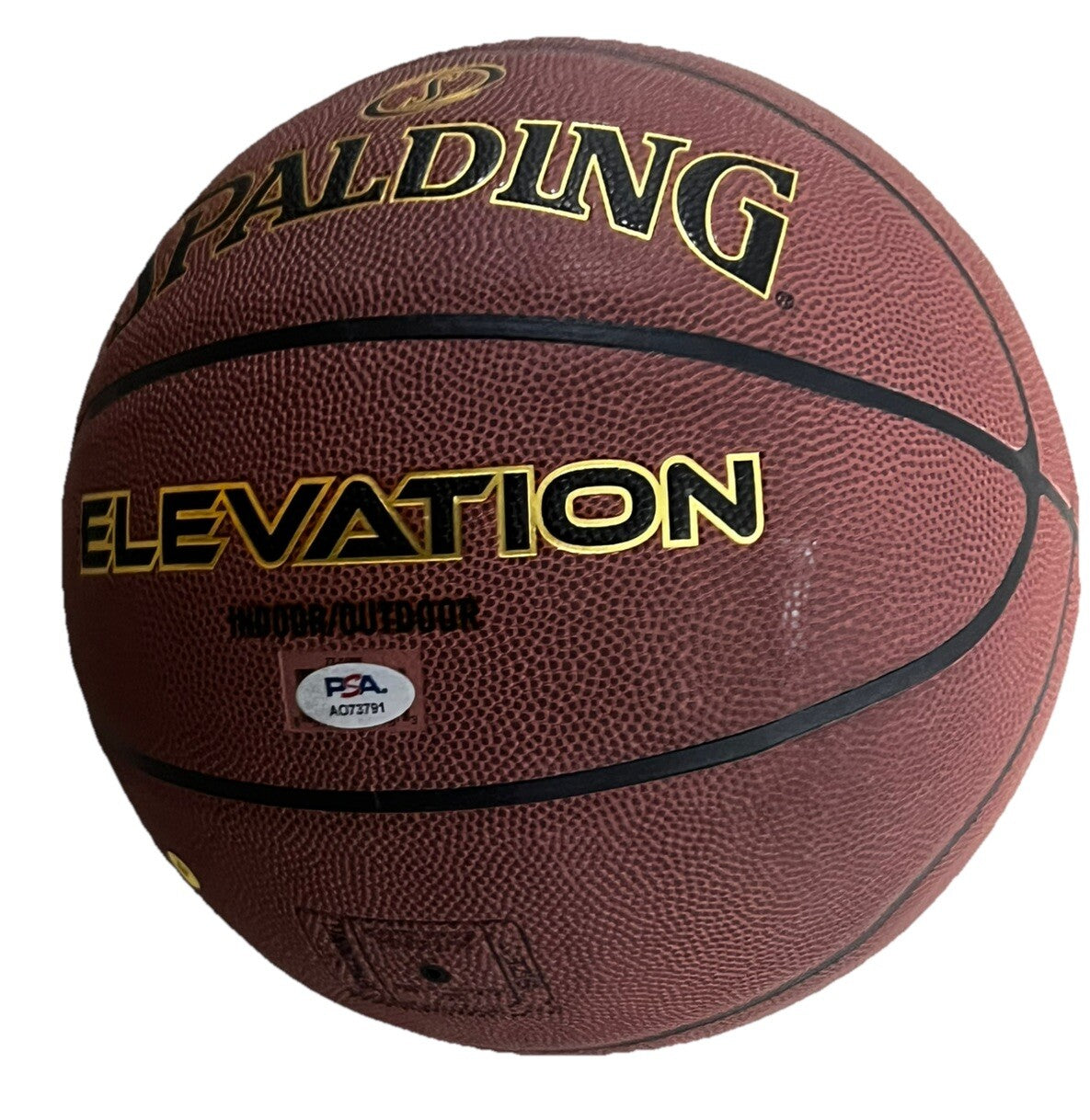 JAMIE JAQUEZ JR Signed (MIAMI HEAT) Spalding NBA Basketball PSA/DNA AO73791
