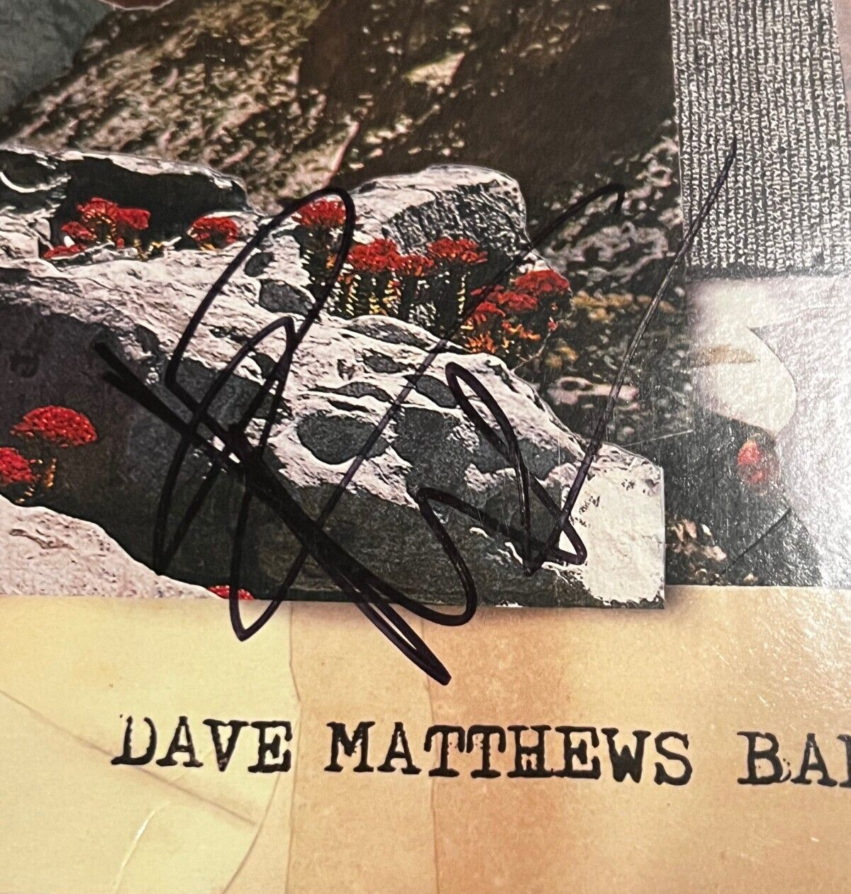 DAVE MATTHEWS signed (WALK AROUND THE MOON) Vinyl Album Record LP JSA YY46419