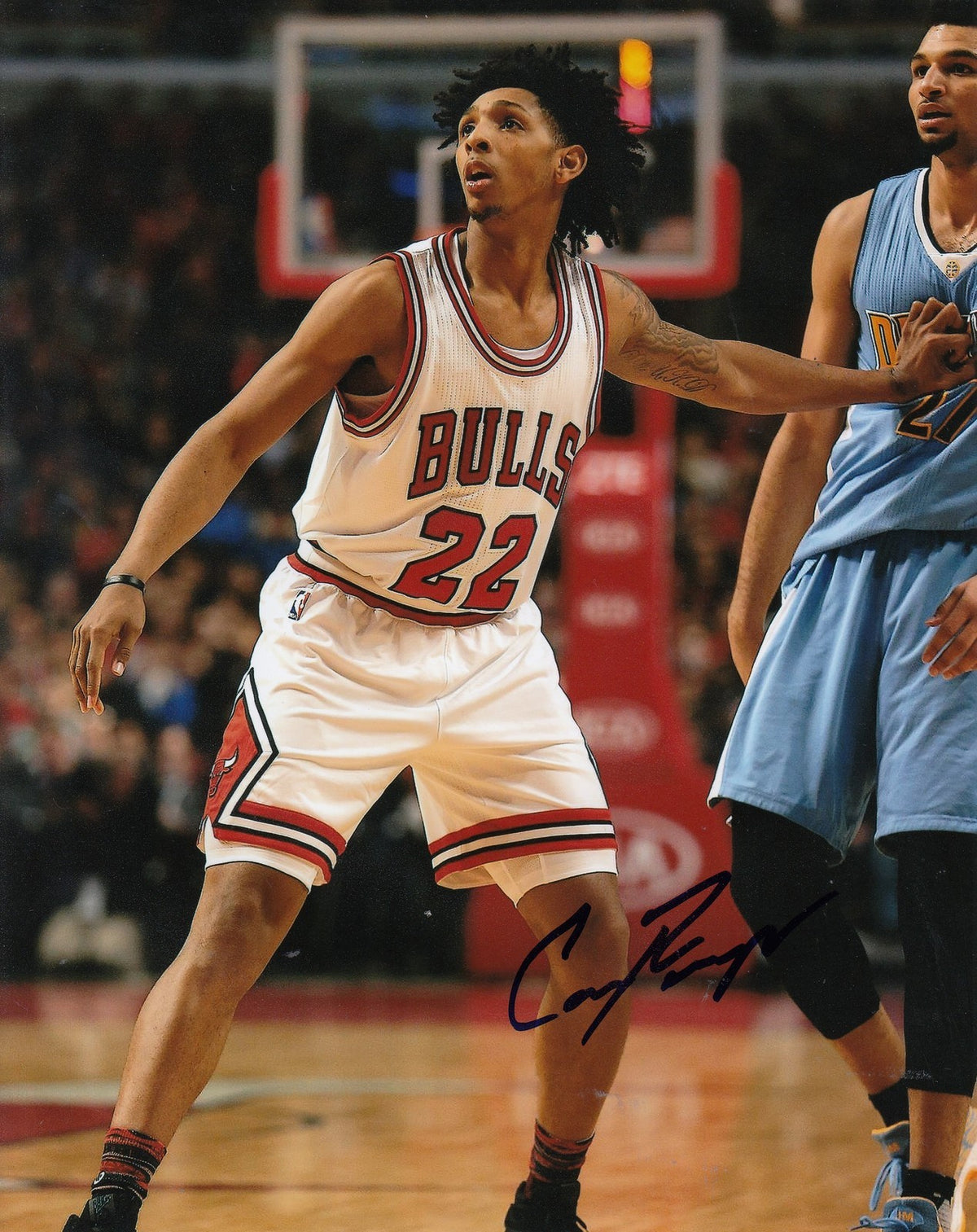 CAMERON PAYNE signed (CHICAGO BULLS) autographed BASKETBALL 8X10 photo W/COA #3