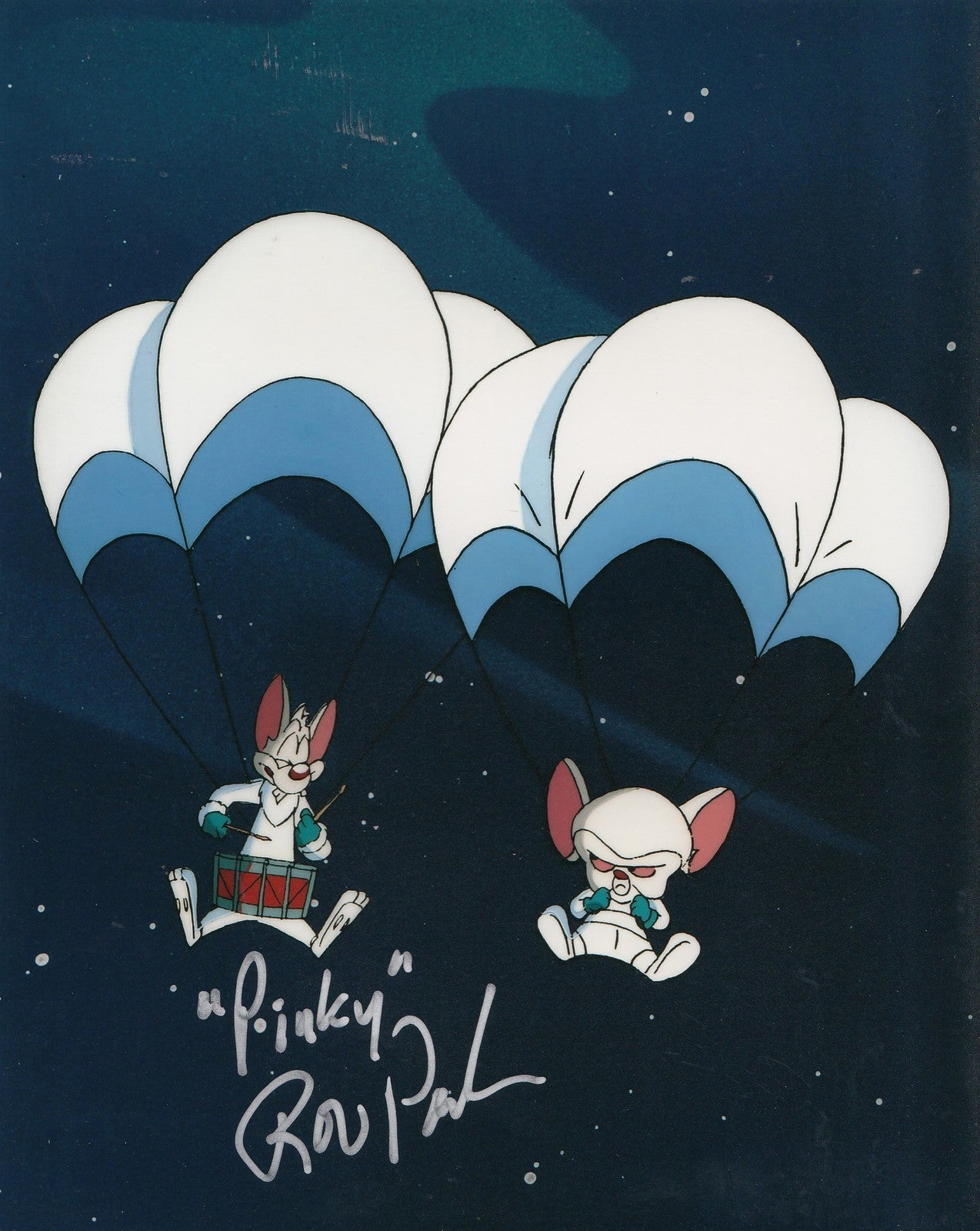 ROB PAULSEN signed (PINKY AND THE BRAIN) TV SHOW 8x10 photo W/COA