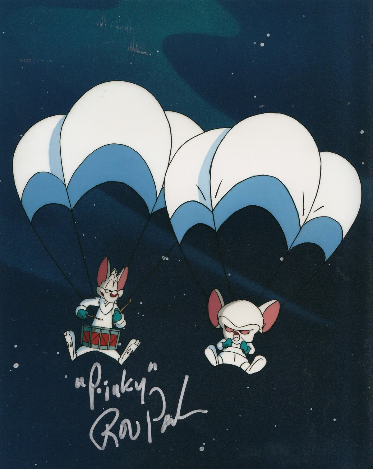 ROB PAULSEN signed (PINKY AND THE BRAIN) TV SHOW 8x10 photo W/COA