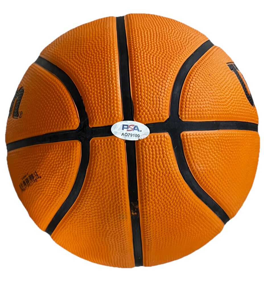 JOE MAZZULLA Signed (Boston Celtics) Wilson NBA Basketball PSA/DNA AO79100