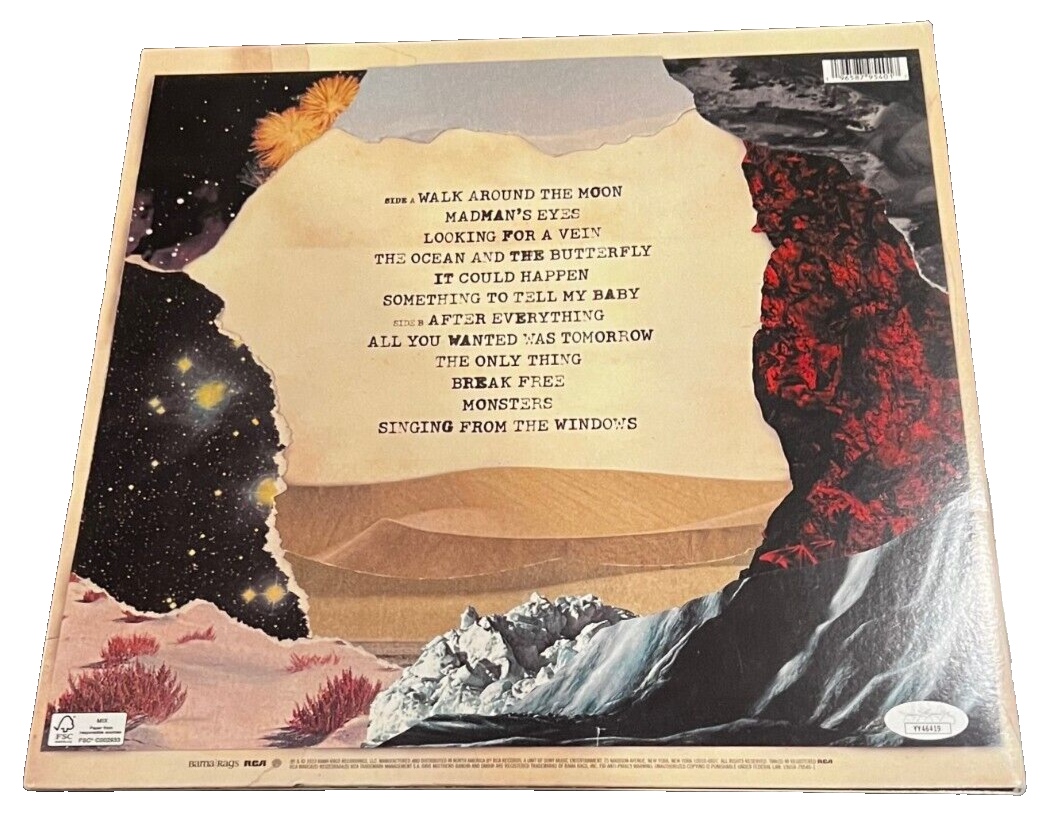DAVE MATTHEWS signed (WALK AROUND THE MOON) Vinyl Album Record LP JSA YY46419