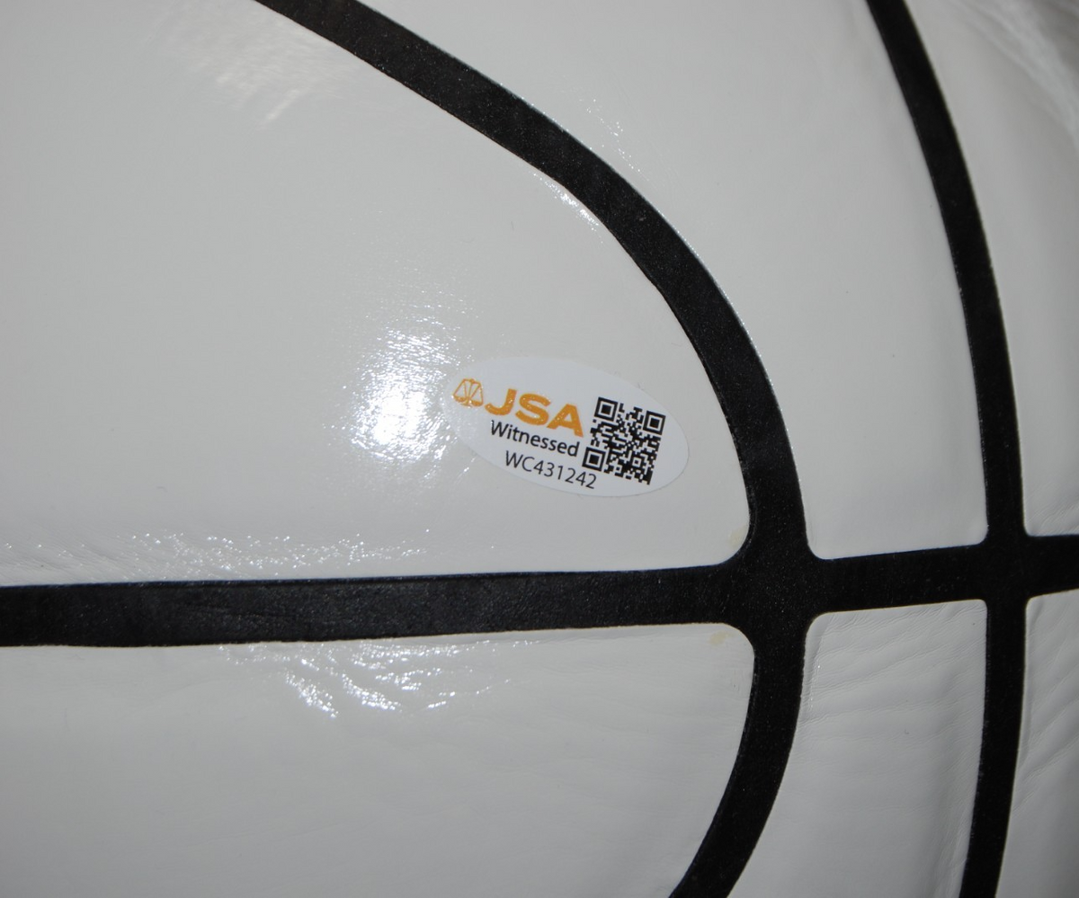 DEE BROWN signed (ILLINOIS FIGHTING ILLINI) white panel basketball JSA WITNESSED