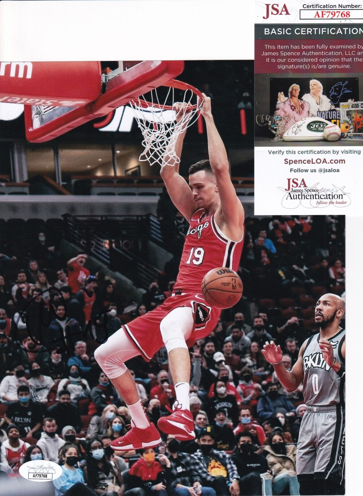 MARCO SIMONOVIC signed (CHICAGO BULLS) basketball 8X10 photo JSA COA AF79768