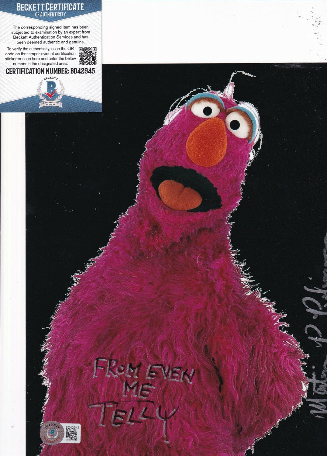MARTIN P ROBINSON signed (SESAME STREET Telly Monster 8X10 photo BECKETT BD42945
