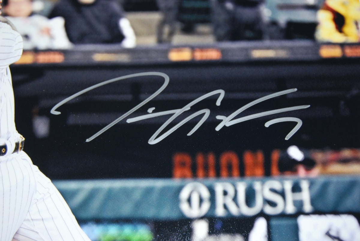 TIM ANDERSON signed (CHICAGO WHITE SOX) baseball 16X20 Fanatics MLB Authentic