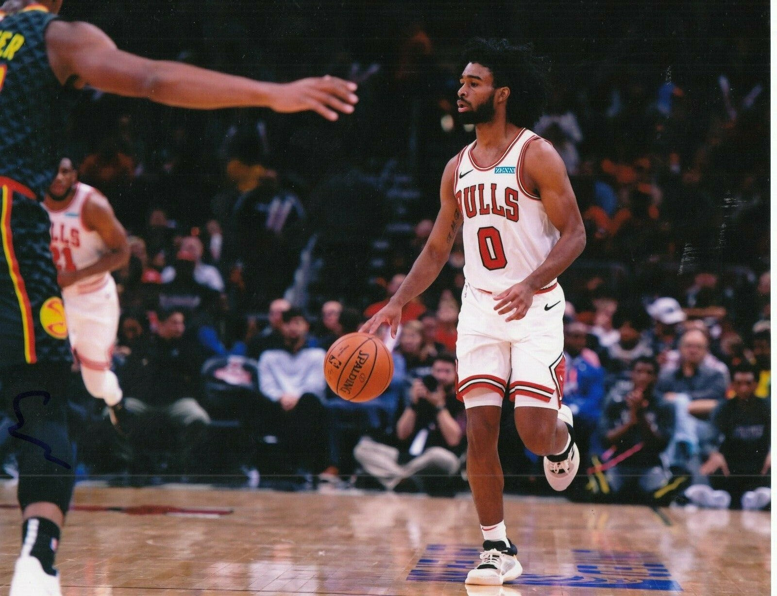 COBY WHITE signed (CHICAGO BULLS) basketball auto 8X10 photo *PROOF* W/COA #3