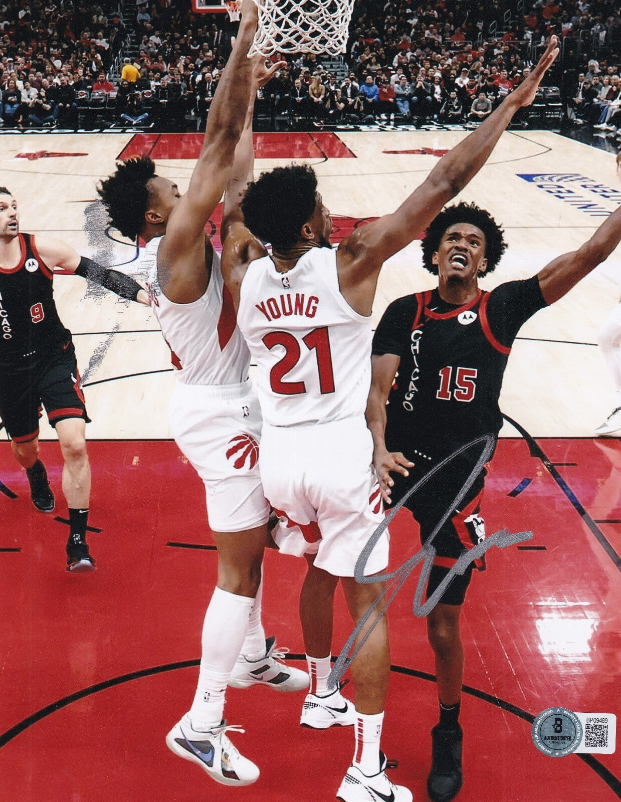 JULIAN PHILLIPS signed (CHICAGO BULLS) Basketball 8X10 photo BECKETT BAS BP09489
