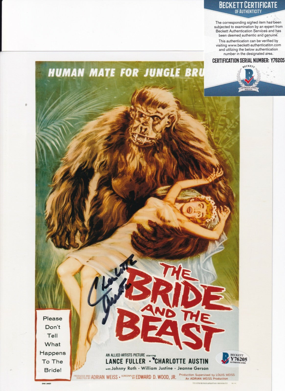 CHARLOTTE AUSTIN signed (THE BRIDE AND THE BEAST) 8X10 photo BECKETT BAS Y76205