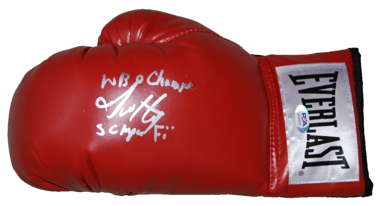 JAMEL HERRING signed (WBO LIGHTWEIGHT) Olympics Boxing glove PSA/DNA AK30583