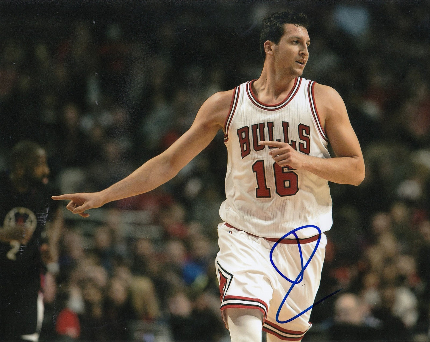PAUL ZIPSER signed (CHICAGO BULLS) autographed BASKETBALL 8X10 photo W/COA #3