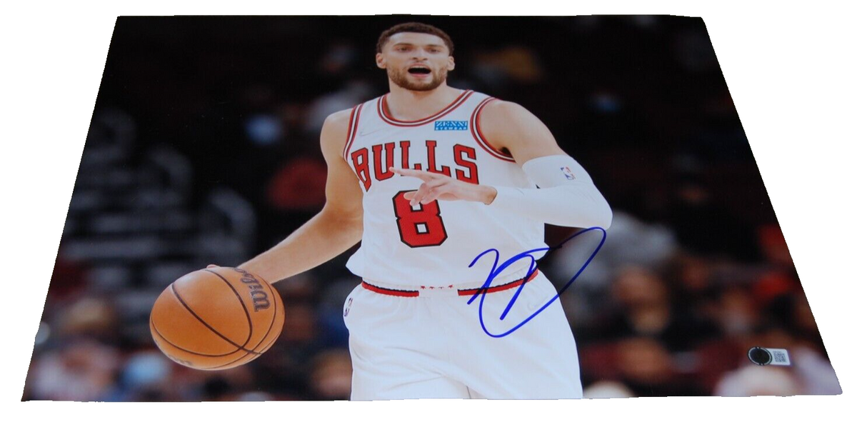 ZACH LAVINE signed (CHICAGO BULLS) basketball 16X20 photo BECKETT BAS BM02901