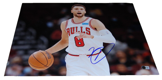 ZACH LAVINE signed (CHICAGO BULLS) basketball 16X20 photo BECKETT BAS BM02901