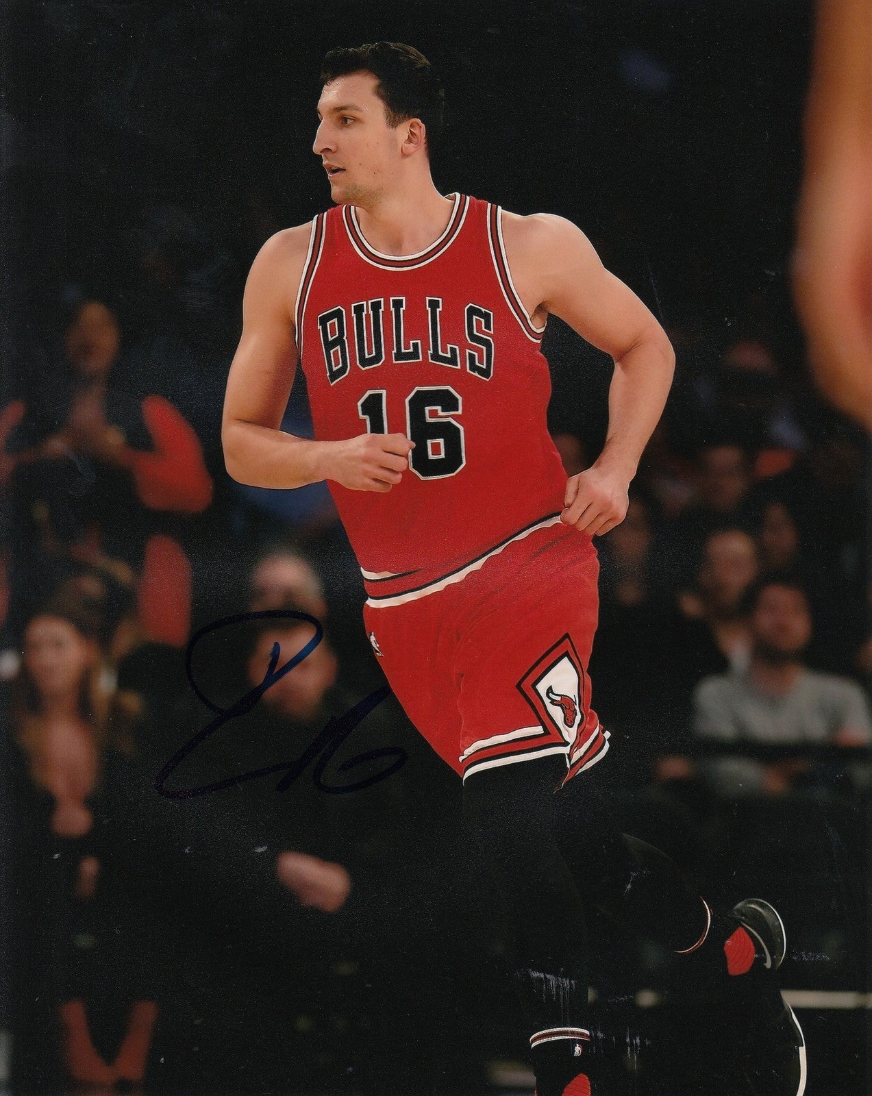 PAUL ZIPSER signed (CHICAGO BULLS) autographed BASKETBALL 8X10 photo W/COA #5