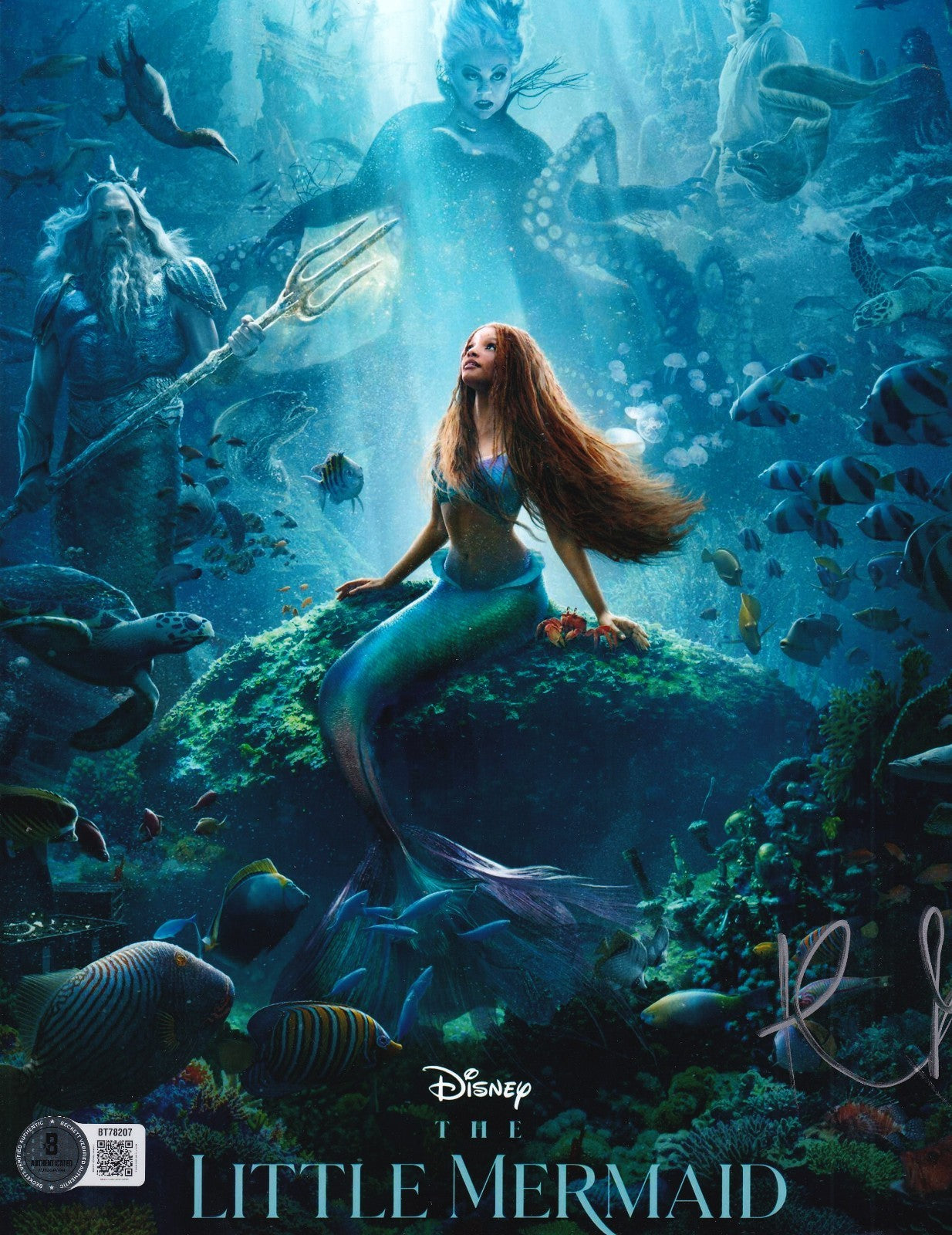 HALLE BAILEY signed (THE LITTLE MERMAID) Movie ARIEL 8X10 photo BECKETT BT78187