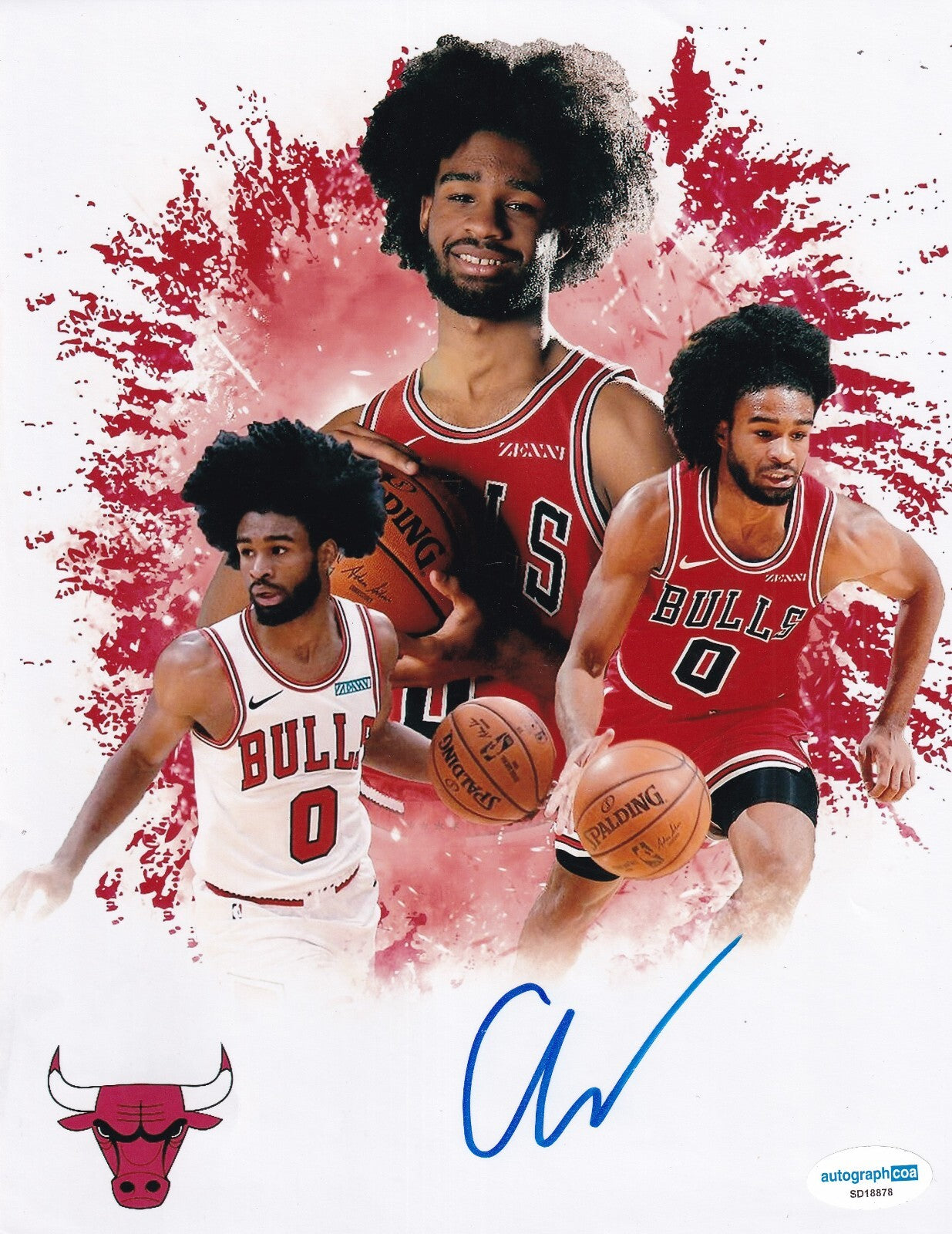 COBY WHITE signed (CHICAGO BULLS) basketball COLLAGE 8X10 photo ACOA SD18878