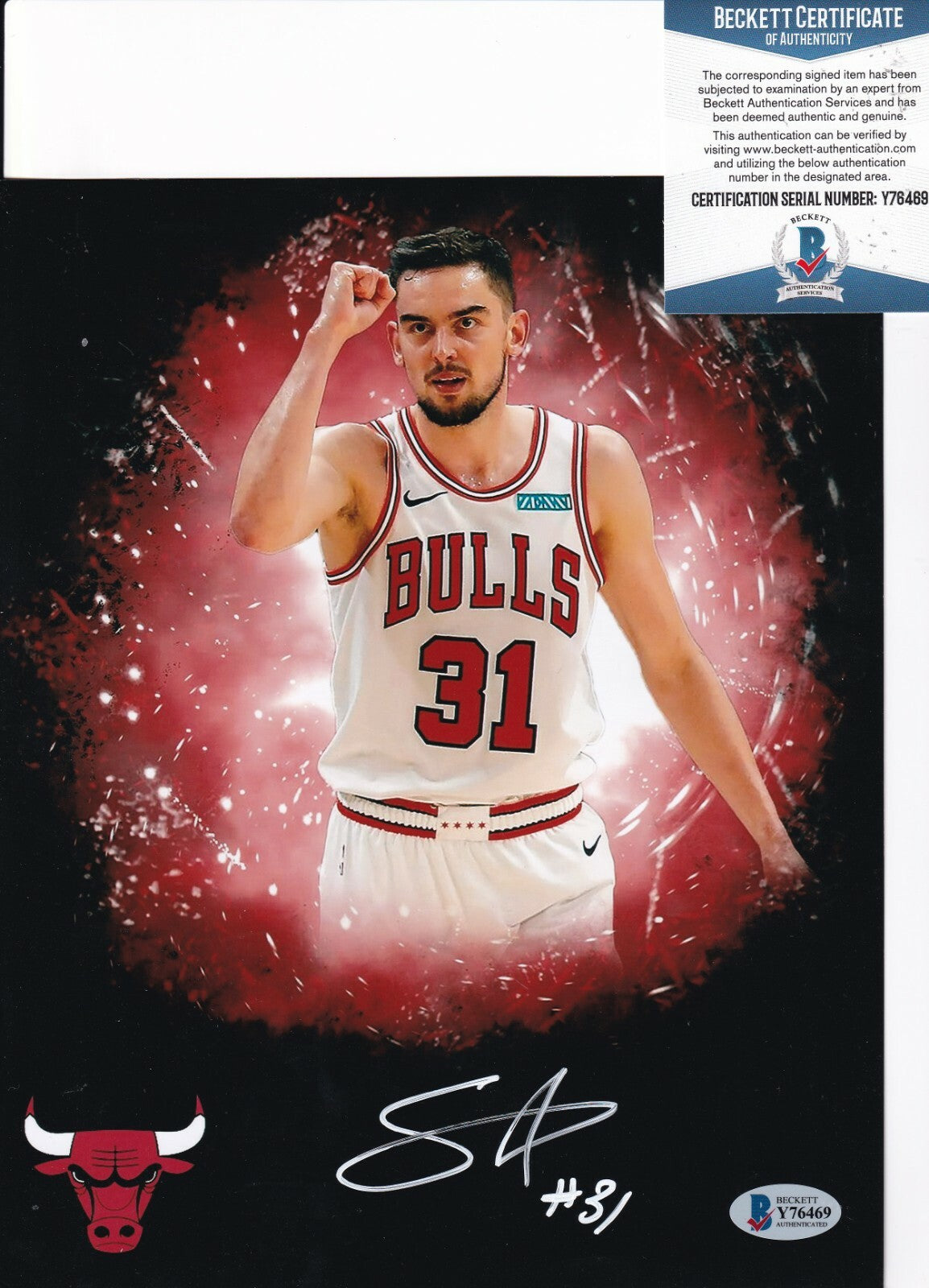 TOMAS SATORANSKY signed (CHICAGO BULLS) Basketball 8X10 photo BECKETT BAS Y76469